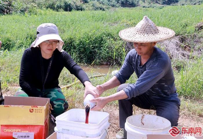 科技特派员黄宇：让木成材 将论文写在林地里