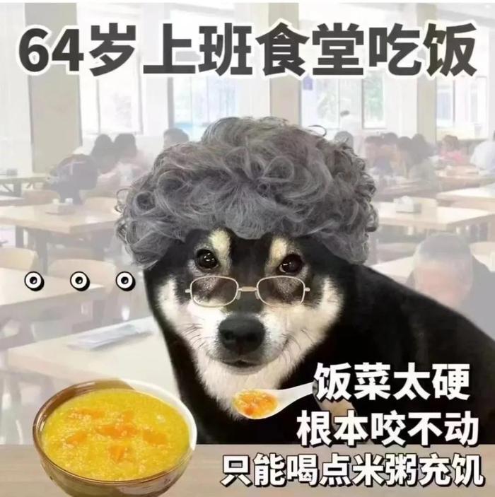 60岁的我盛装打扮，向35岁的行长请假，出席自己的60大寿！