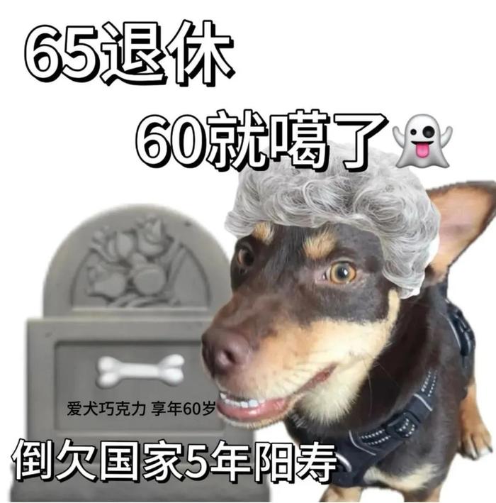 60岁的我盛装打扮，向35岁的行长请假，出席自己的60大寿！