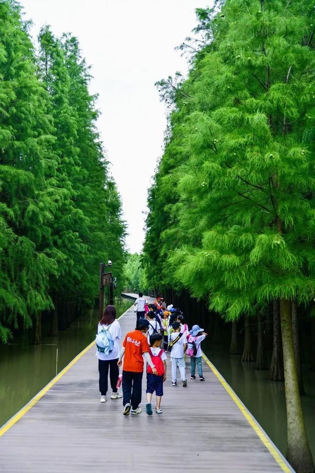 西沙明珠湖景区夏令营活动进行时