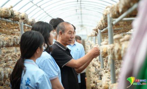 发挥专业特长，高校学子暑期实践记录“镜头里的乡村振兴”