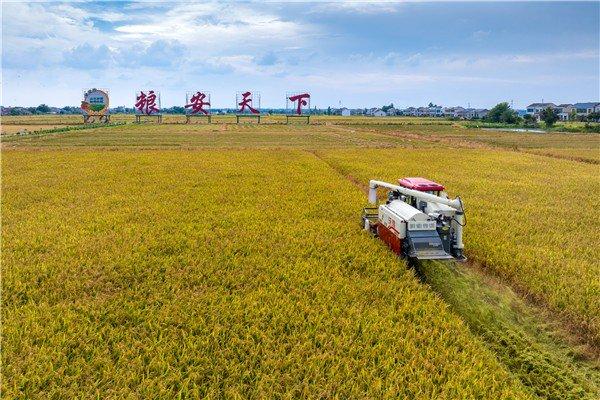 星辰聚焦｜谭芳：“风自远方，我在宁乡”，今天你被“种草”了吗？