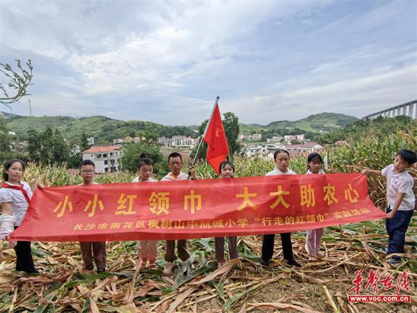 小小红领巾  大大助农心  长沙市雨花区枫树山中航城小学开展社会实践活动