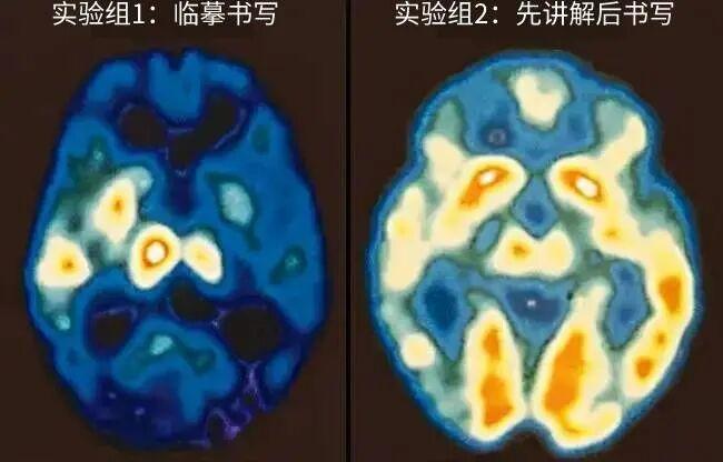 王慧志：从写字开始抓素质教育