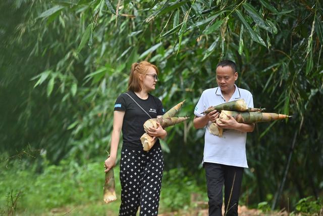 可爱的乡村｜“95后”青年返乡当“笋丫头” 用科技助传统农业振兴