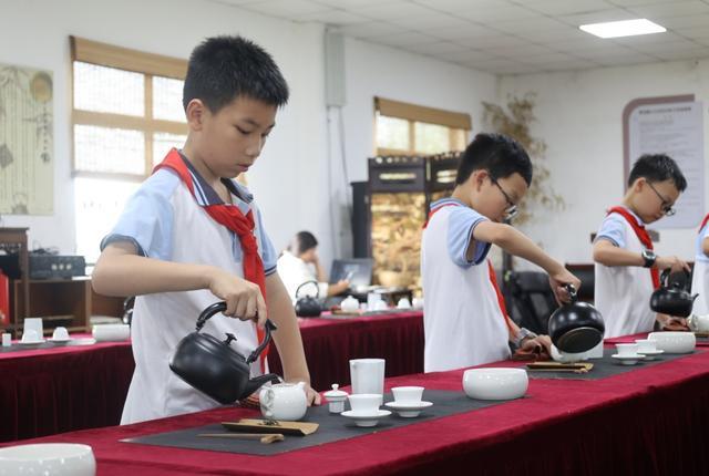 在沪上规模最大的茶园里采茶，是何种体验？