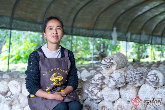 陶丽林：种下食用菌撑开“致富伞”