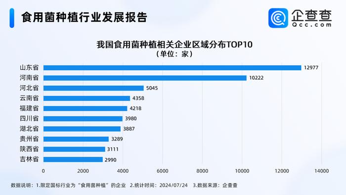 热闻|云南“采菌子游”火了！我国现存食用菌种植企业7.65万家，山东排第一