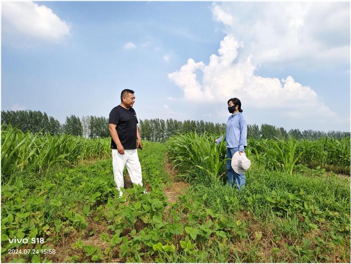 濉溪县百善镇：大豆玉米带状复合种植，种出稳粮增收“新法子”