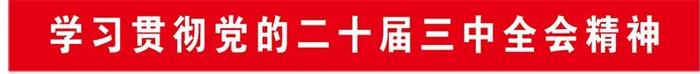 全军官兵认真学习贯彻党的二十届三中全会精神