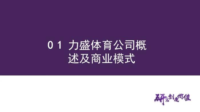 【华鑫传媒|深度报告】力盛体育（002858.SZ）：推动“多巴胺与内啡肽经济”