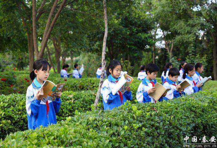 改革春风拂秦安 发展新潮逐浪高——党的十九届三中全会以来秦安县全面深化改革纪实