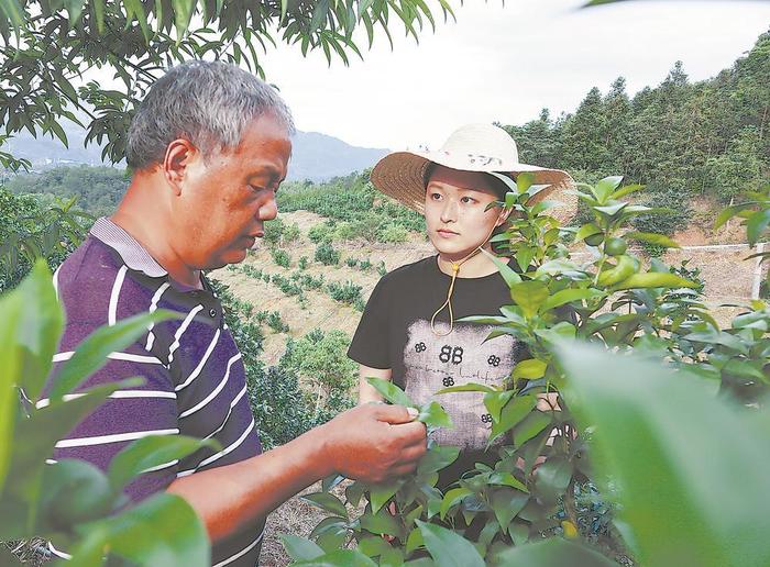 我们村外来的年轻人