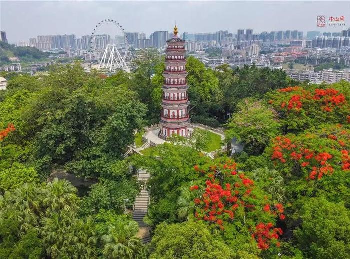 火出大湾区！中山高颜值公园地图来了