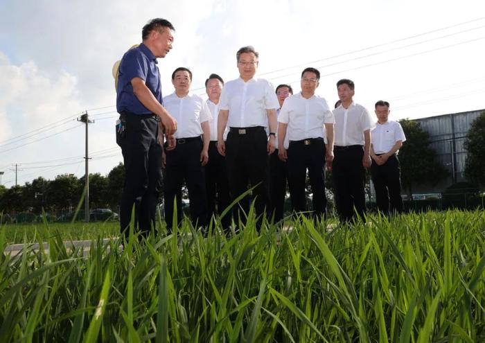 梁言顺在滁州市调研时强调 大力弘扬改革创新敢为人先的小岗精神 进一步全面深化改革着力推动高质量发展 虞爱华参加