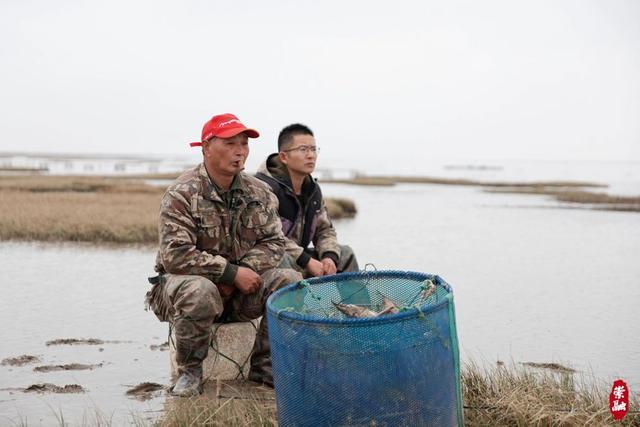 历史性时刻，上海首个！崇明东滩“晋级”世界自然遗产