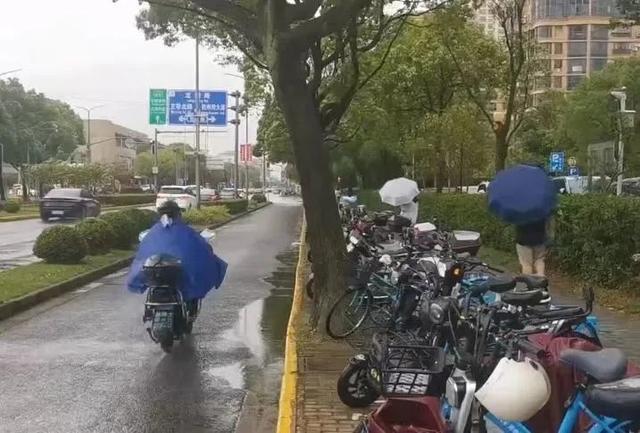 台风、雷电、暴雨……金山天气速戳→