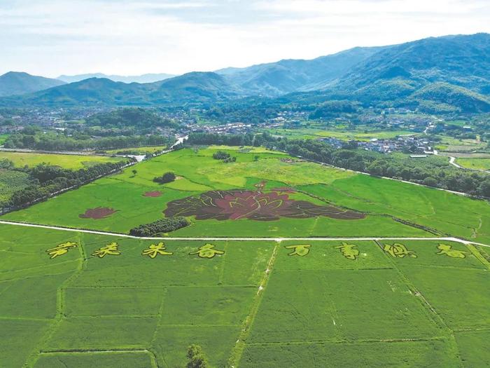 早安安徽｜部分区域临时关闭！黄山风景区最新公告