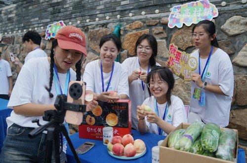 2024北京平谷鲜桃季启幕 千名大学生“村播”助力农产品线上热卖