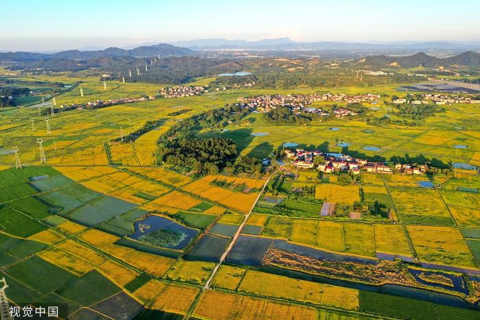 我国连续9年粮食产量1.3万亿斤以上，农业农村发展稳中向好