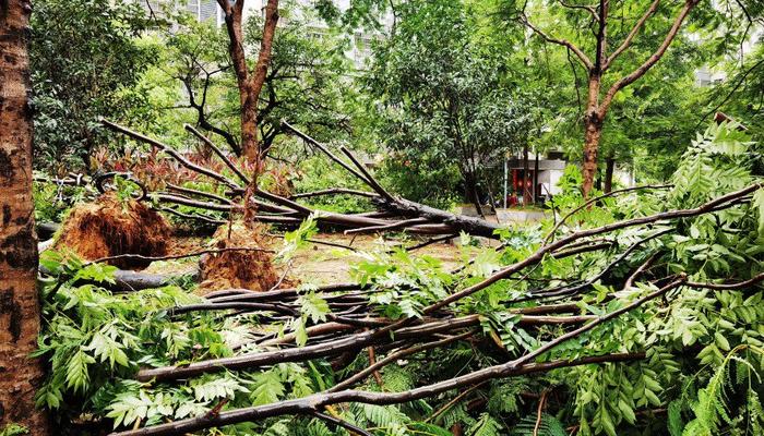 地方新闻精选 | 台风“格美”已致福建62.86万人受灾  吉林一公安局长和辅警救灾失联