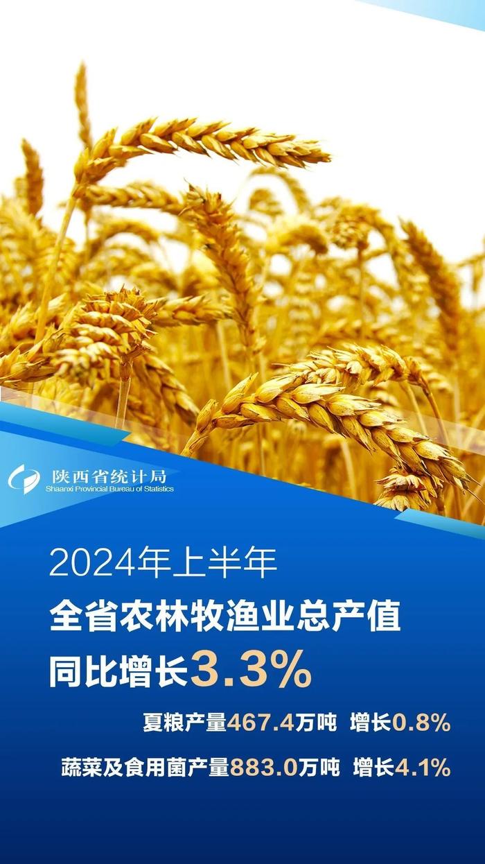 今年上半年陕西GDP达16257.47亿元 同比增长4.3%