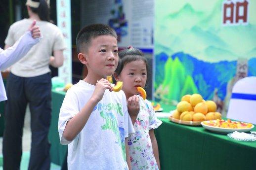 现摘现卖！在千米海拔“桃”醉一夏