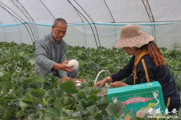 改革春风拂秦安 发展新潮逐浪高——党的十九届三中全会以来秦安县全面深化改革纪实