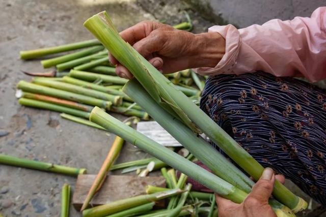 “宝藏零食”熟了，这款“活饮料”今年你尝了吗？