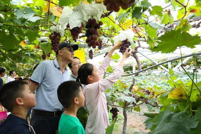 “城市探索嘉”启航，嘉定高层次人才家庭共赴亲子研学之旅