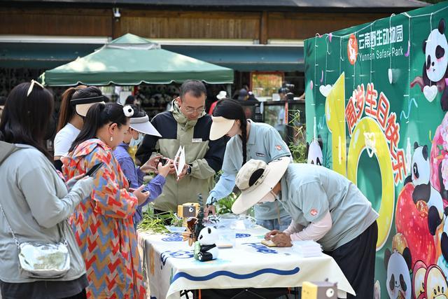 四川出生云南长大：大熊猫“毛竹”10岁了