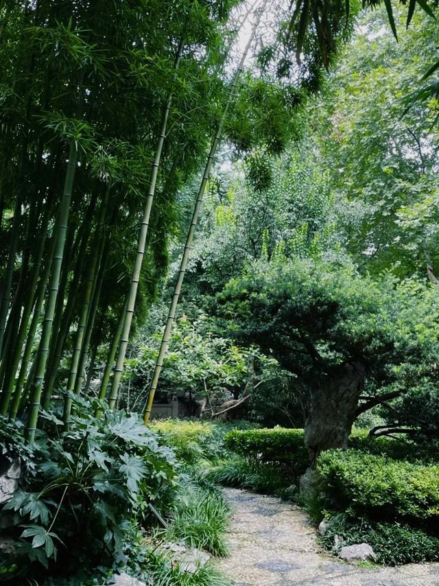 和静宝一起，用古诗词打开静安的悠长夏日