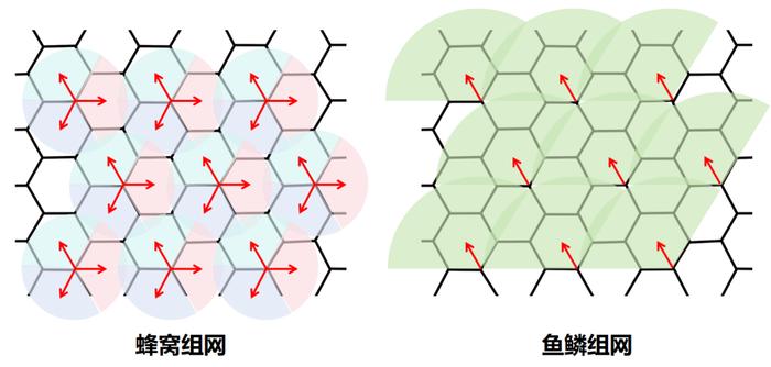 到底什么是鱼鳞组网？