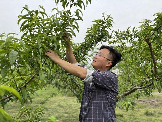 用什么激发高职生返乡就业意愿