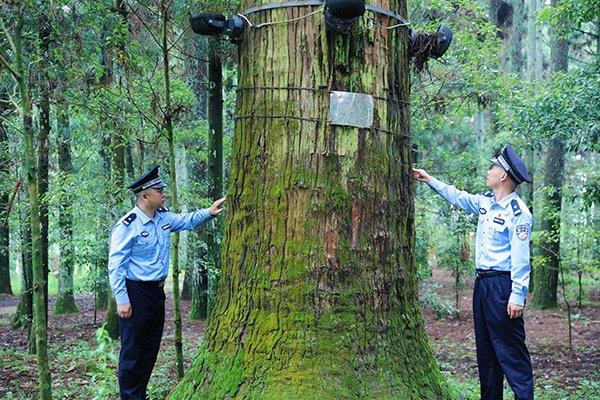 “颜值”高“成色”足！这幅以“蓝”护“绿”的画卷等你来赏