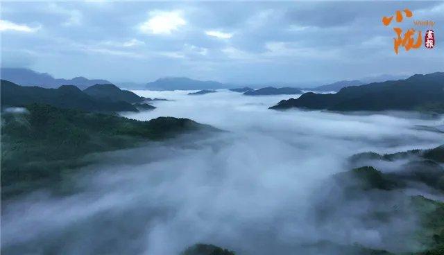 陇南康县：雨后云海景象　犹如水墨画境