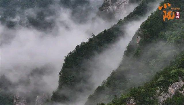 陇南康县：雨后云海景象　犹如水墨画境