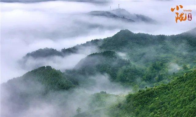 陇南康县：雨后云海景象　犹如水墨画境