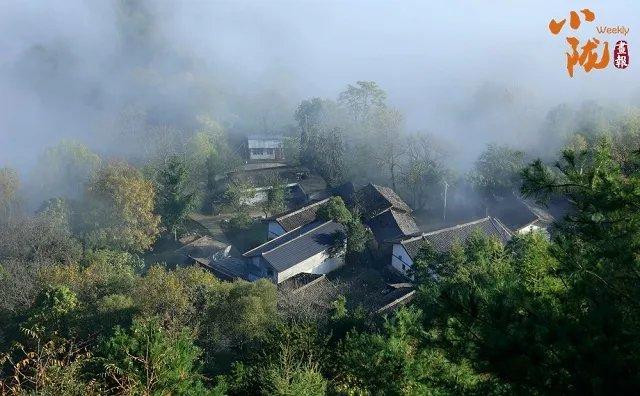 陇南康县：雨后云海景象　犹如水墨画境