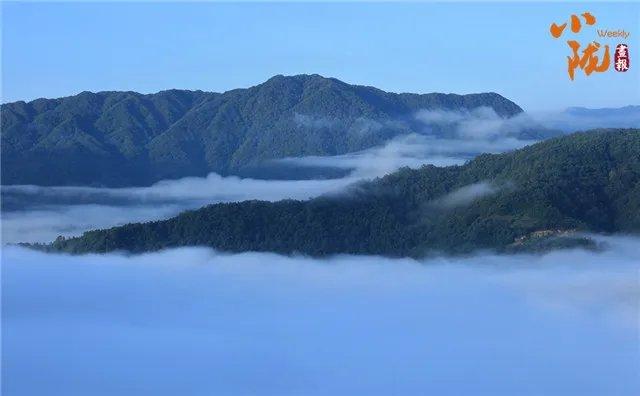 陇南康县：雨后云海景象　犹如水墨画境