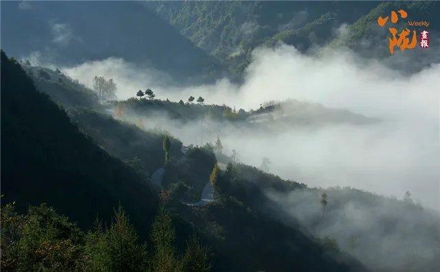 陇南康县：雨后云海景象　犹如水墨画境