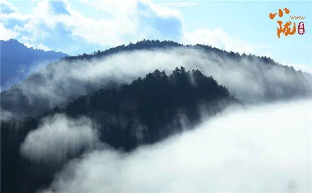 陇南康县：雨后云海景象　犹如水墨画境