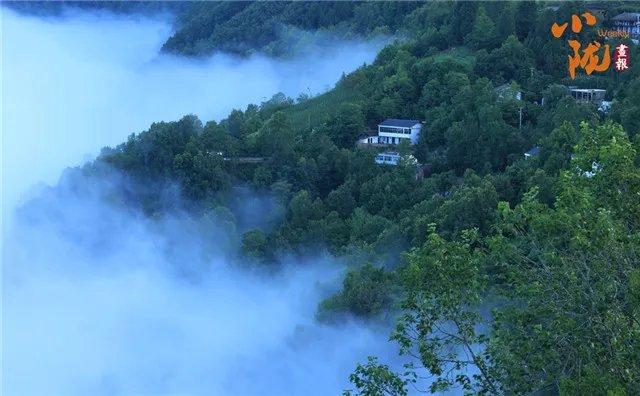 陇南康县：雨后云海景象　犹如水墨画境