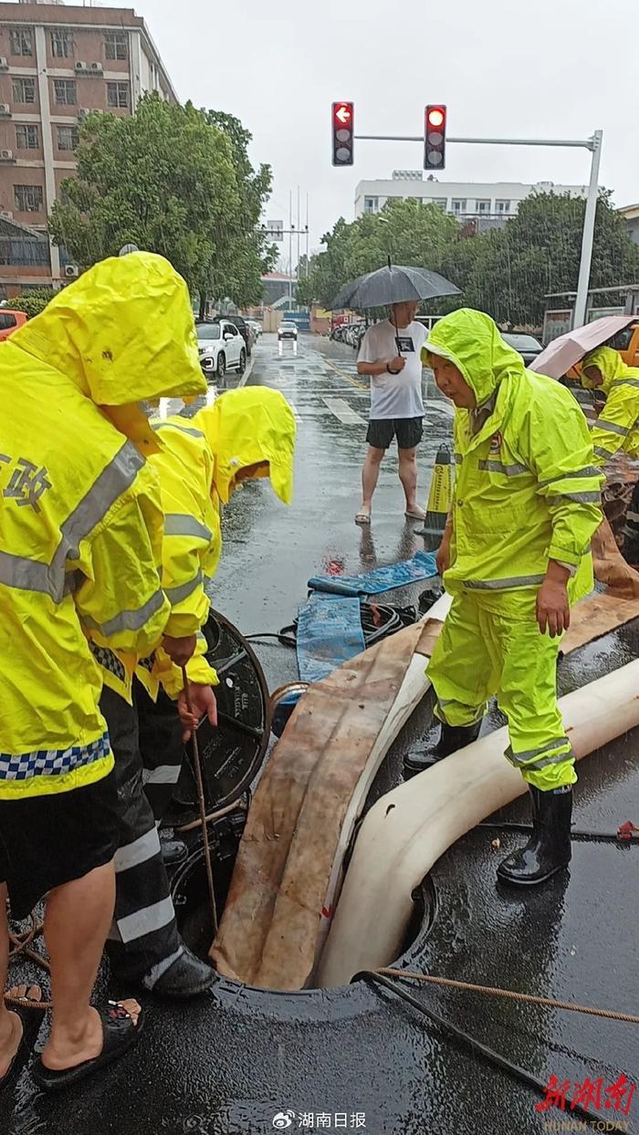 “说好带路怎么跳水里了？”他们迎战超强台风“格美”……