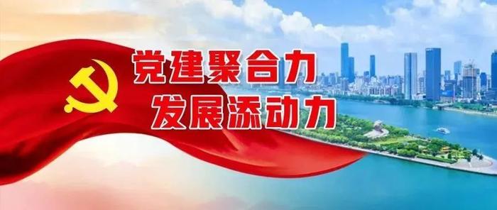 “党建聚合力”工程特色案例⑦｜深入实施“党建聚合力”书记创新项目