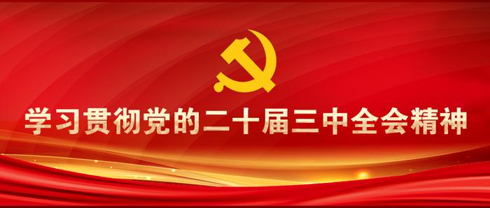 锚定高质量发展 深化人才发展体制机制改革——党的二十届三中全会精神在人社系统持续引发热烈反响