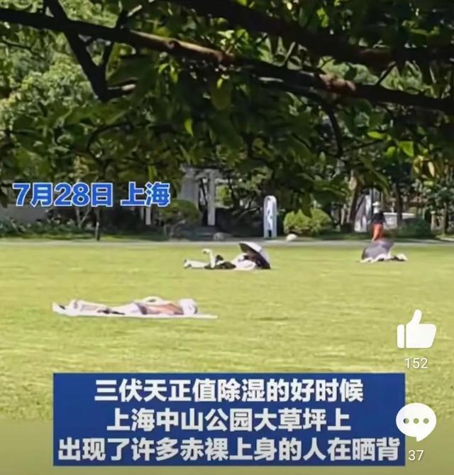 这风还是吹到了上海！中山公园等大草坪上，不少人正尝试这个养生新“顶流”！医生提醒→