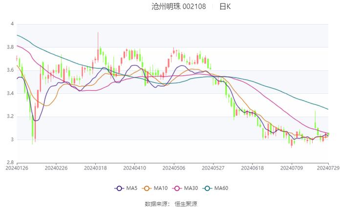 沧州明珠：2024年上半年净利8823.51万元 同比下降46.76%