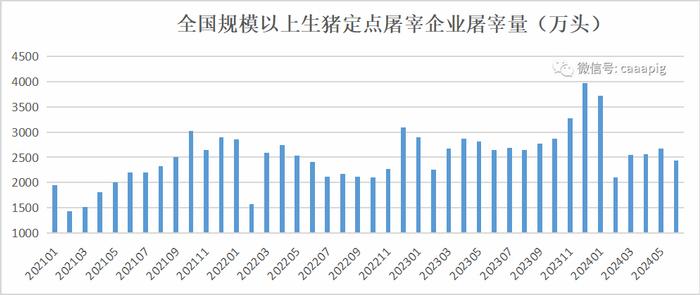 新闻‖2季度末能繁母猪存栏4038万头！2024年上半年生猪产品数据发布