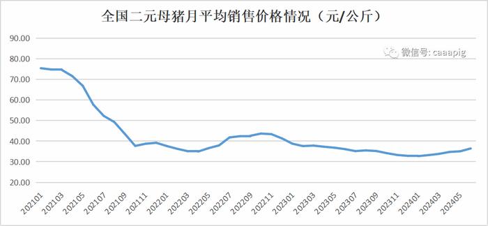 新闻‖2季度末能繁母猪存栏4038万头！2024年上半年生猪产品数据发布